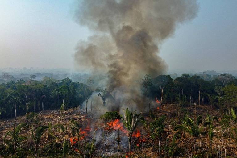 Amazonas decreta situação de emergência ambiental com alta de queimadas