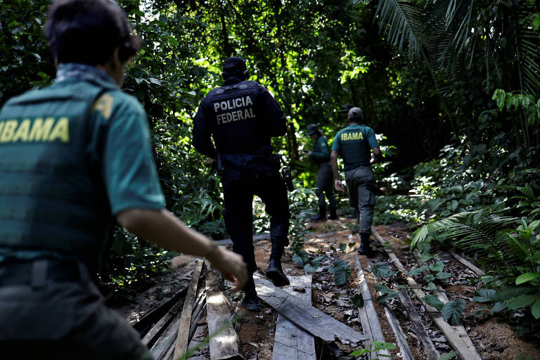 Policial federal acompanha agentes do Ibama durante operação de combate ao desmatamento em Uruara, no Pará