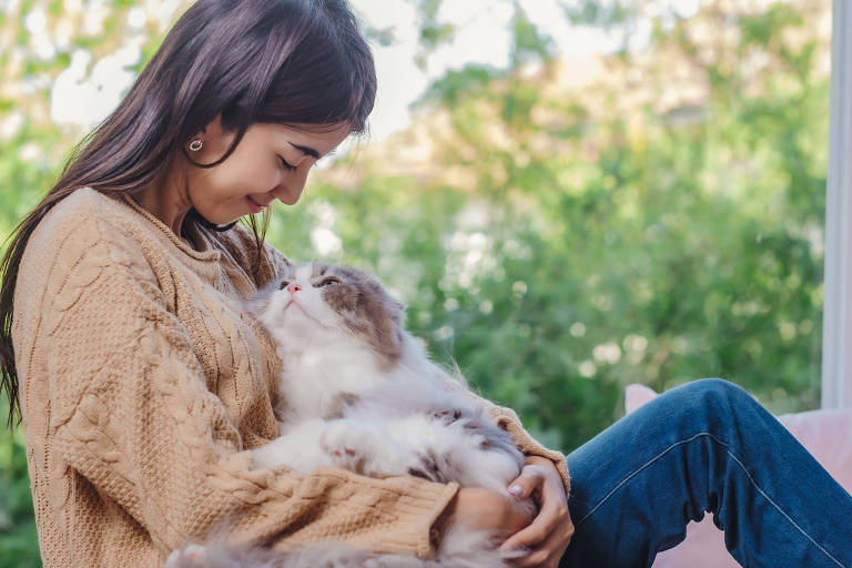 Gatos ajudam a combater ansiedade e depressão