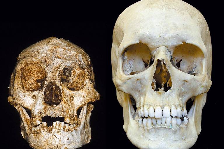 Geneticistas contestam teoria de que ancestrais da humanidade estiveram à beira da extinção