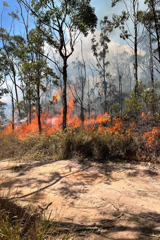 Incêndio no Parque Estadual da Serra do Rola-Moça, região de Belo Horizonte (MG)