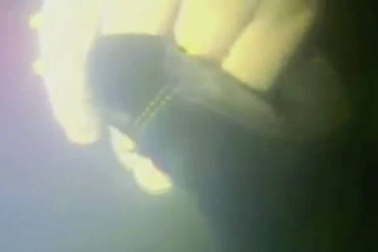 Uma câmera subaquática capturou o momento em que o mergulhador Nicolaas van Heerden pegou a mão de Harrison