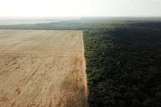 FILE PHOTO: Border between Amazonia and Cerrado
