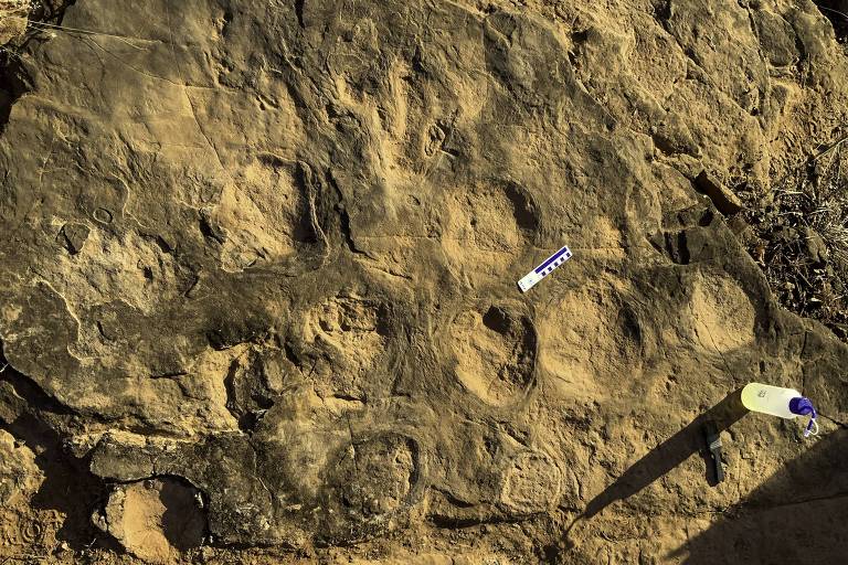 Pegadas de dinossauro com 90 milhões de anos são encontradas no interior de SP
