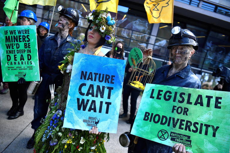Ativistas seguram cartazes com mensagens como 'legisle para a biodiversidade' e 'a natureza não pode esperar'