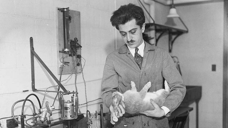 Gregory Pincus em um laboratório segurando um coelho