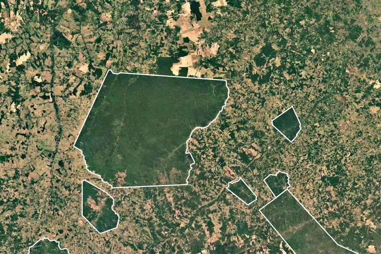 Veja, em imagens de satélite, como terras indígenas viram ilhas verdes na Amazônia