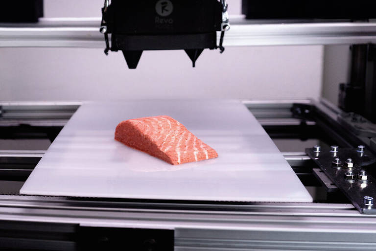 Veja imagens do salmão feito com impressora 3D