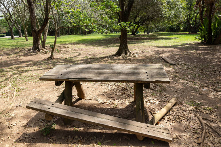Após 1 ano de concessão, parque Villa-Lobos ainda tem reformas pendentes