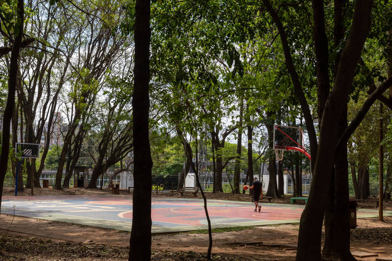 A imagem mostra uma quadra de basquete localizada em um parque, cercada por árvores altas e verdes. No fundo, há uma cesta de basquete e um jogador solitário driblando a bola. O chão da quadra é colorido, com padrões em vermelho, azul e amarelo. A luz do sol ilumina a cena, criando um ambiente tranquilo e natural.