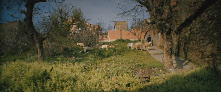 Cena do documentário "Marinheiro das Montanhas", de Karim Aïnouz