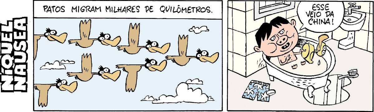 O primeiro quadrinho inicia com a legenda: patos migram milhares de quilômetros. Mostra patos marrons em formação voando num céu azul. No segundo quadrinho, um menino está na banheira com um patinho de borracha na mão e diz: esse veio da China.