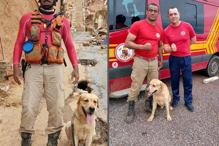 Morre Thayron, cachorro que ajudava nas buscas por desaparecidos das enchentes no Rio Grande do Sul