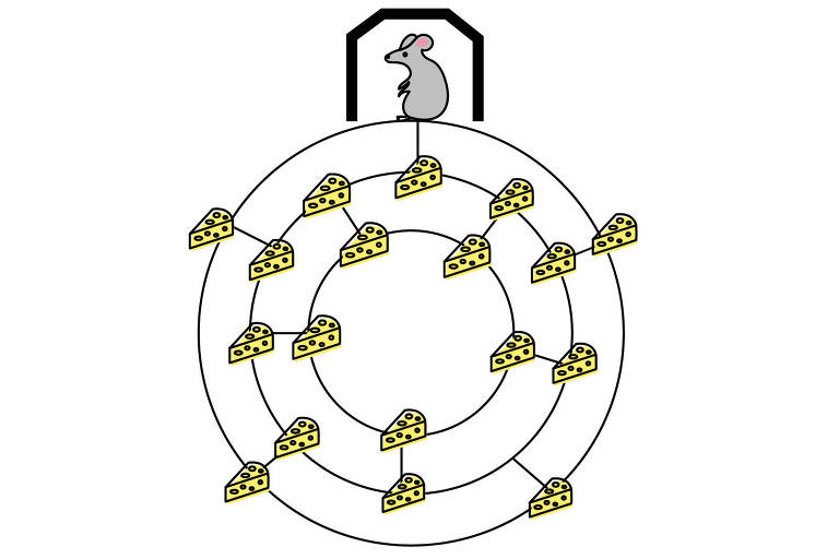Desafios de Matemática: que caminho o rato deve fazer para pegar todos os queijos?