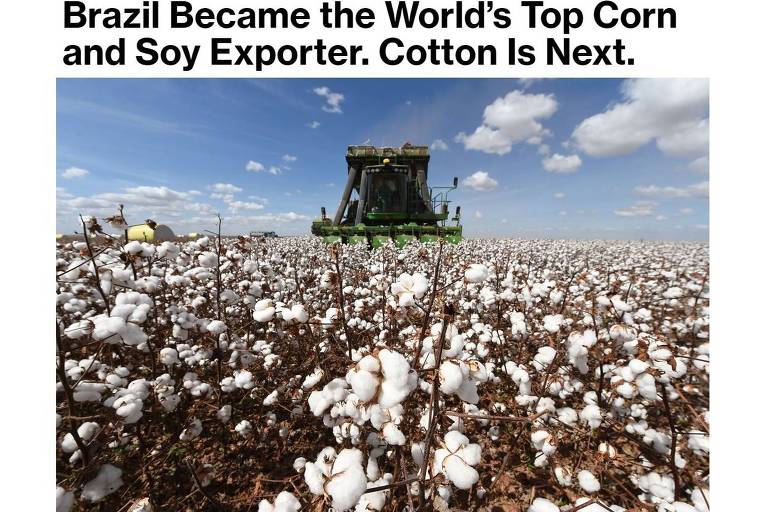 Na Bloomberg, 'Brasil se tornou o maior exportador mundial de milho e soja. O algodão é o próximo'