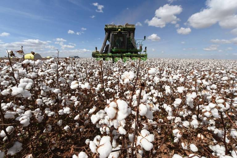 Gigantes de commodities agrícolas, Rússia e Brasil buscam articulação