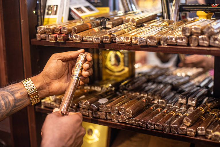 Charutos vendidos na tabacaria 'Isso é um cachimbo?', localizada no bairro Santo Antônio Além do Carmo, em Salvador