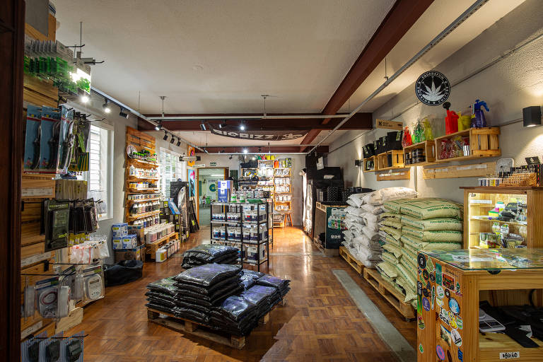 Exposição dos produtos da Growshop Grama, loja que vende produtos para o cultivo de Cannabis em Pinheiros, na Zona Oeste de São Paulo
