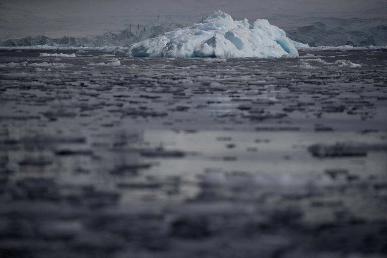 Pedaços de gelo boiando na água com um iceberg ao fundo