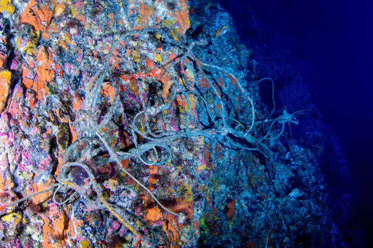 Pedaço de rede plástica encontrada a 80 metros de profundidade no arquipélago de São Paulo, na costa do Brasil, um dos conjuntos de ilhas mais remotos do mundo