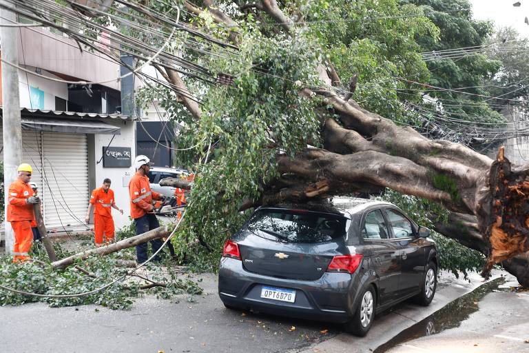 A chuva desta quarta-feira derrubou 103 árvores na região metropolitana de São Paulo, como esta próximo ao número 300 da rua Carlos Weber, na Vila Leopoldina, que atingiu um carro