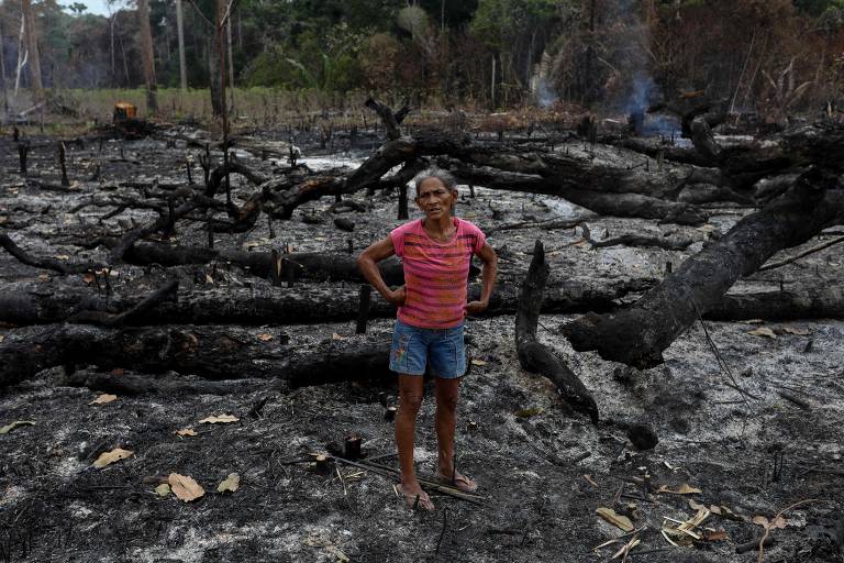 Ramais ligados à BR-319 levam fogo a áreas protegidas no as; estado  tem recorde de queimadas em setembro - Infoia