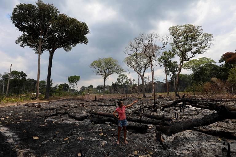 Ramais ligados à BR-319 levam fogo a áreas protegidas no as; estado  tem recorde de queimadas em setembro - Infoia