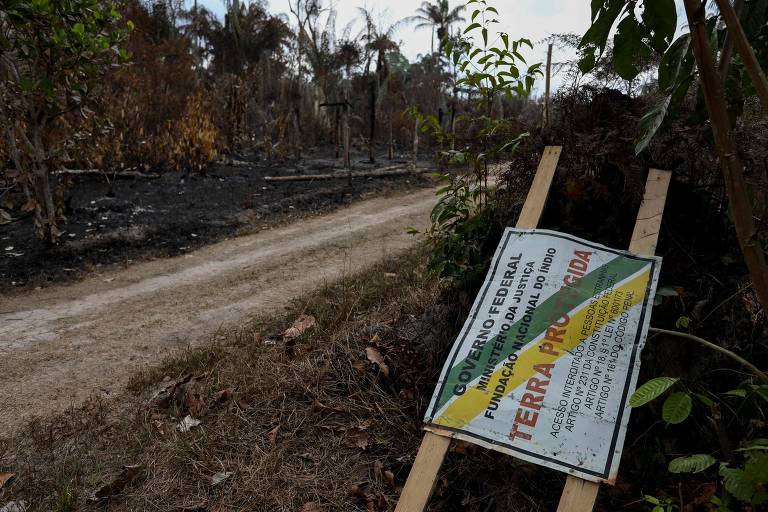 Ramais ligados à BR-319 levam fogo a áreas protegidas no as; estado  tem recorde de queimadas em setembro - Infoia