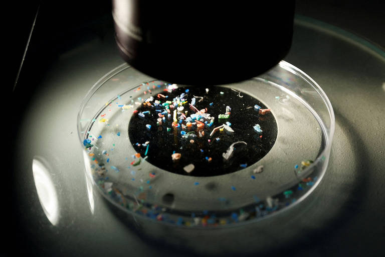 Microplásticos em microscópio
