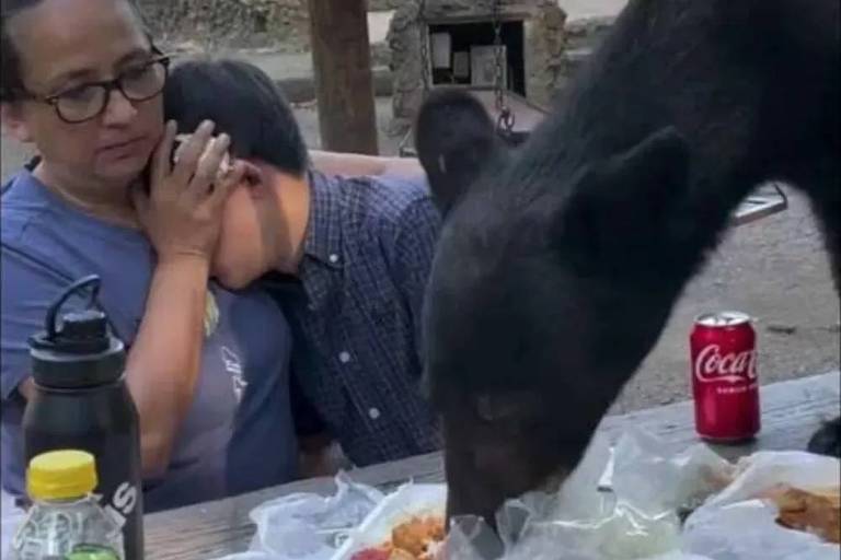 Urso invade piquenique de família no México e reação de mãe viraliza; veja o vídeo