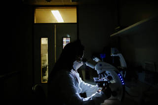 A scientist at the University of Brasilia looks through a microscope in a laboratory, in Brasilia