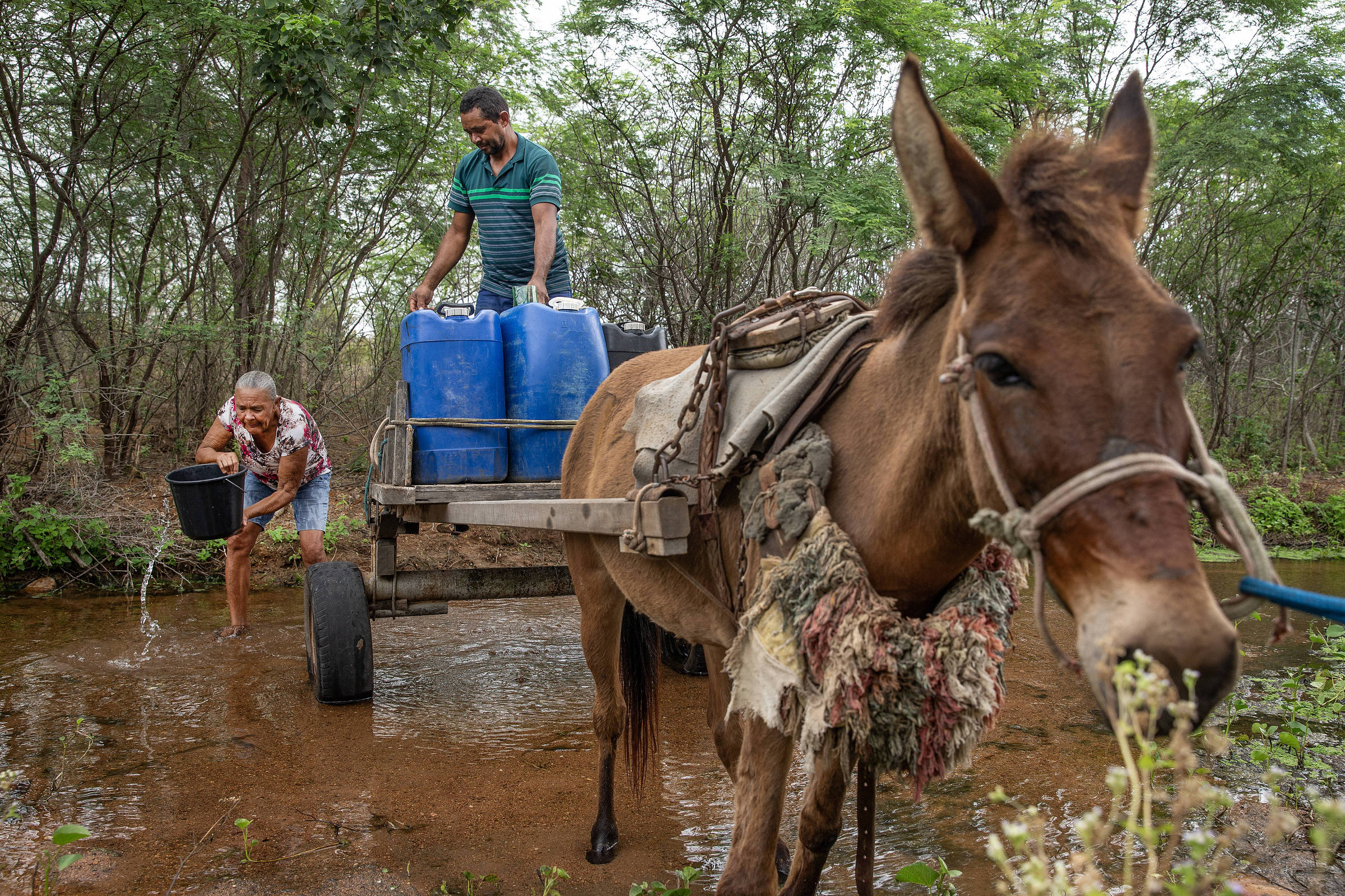 Água Santa leva prêmio em dinheiro duas vezes maior que a folha