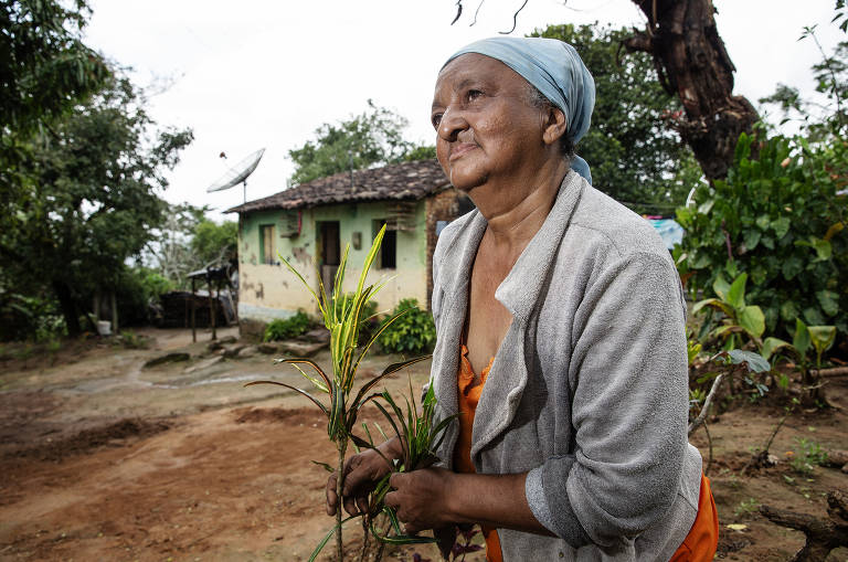 Ana Maria Domingos da Silva no quintal de casa, em Mata Grande: dinheiro da água afeta alimentação