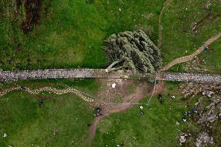 FILE PHOTO: General view of the felled Sycamore Gap in Northumberland National Park