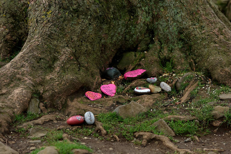 Pedras com mensagens deixadas por moradores locais na área do sicômoro derrubado na Inglaterra