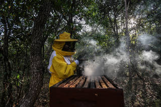 O apicultor José com as caixas em que cria suas abelhas, em área vizinha a Brasília