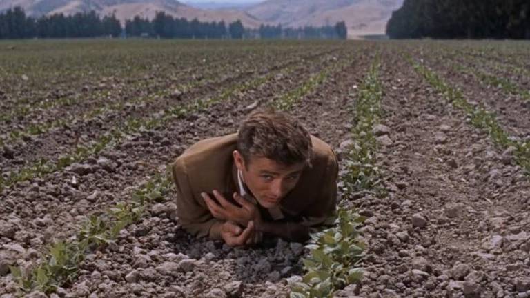 James Dean como Carl em cena em uma plantação em "Vidas Amargas" (1955)
