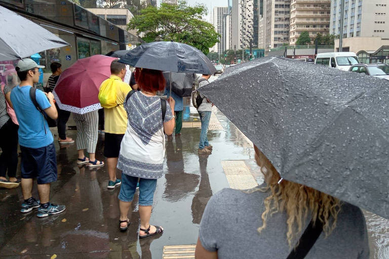 foto mostra pessoas de costas usando guarda-chuva para se proteger da chuva na rua 