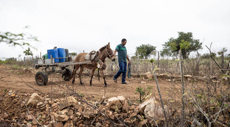 Agricultor José dos Santos, 47, transporta galões de água com jegue e carroça no sertão de Alagoas; reportagem da Folha mostrou que distribuição de reservatórios e cisternas por meio de emendas parlamentares no ano eleitoral de 2022 ignorou a maioria das cidades mais vulneráveis à seca na região do semiárido brasileiro; análise da Folha mostra que 201 dos 228 municípios com prioridade alta ou muito alta (88%) não receberam nenhum equipamento da Codevasf