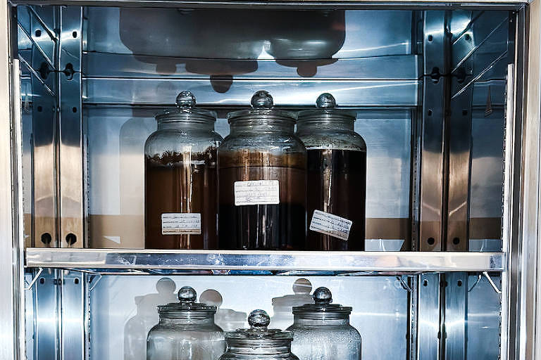 Vidros contendo amostras de garum produzido pelo projeto A.Mar