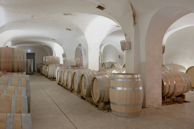 Em Provença, produtores de vinho enfrentam as mudanças climáticas