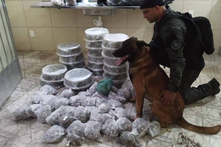 Policial e cachorro da PM ao lado de embalagem de bolos e drogas apreendidas