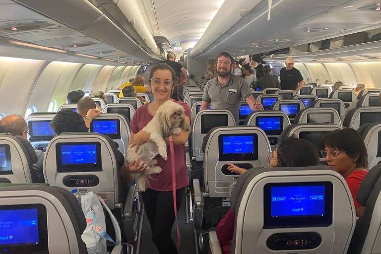 Segundo voo de repatriados de Israel também traz ao Brasil quatro animais de estimação