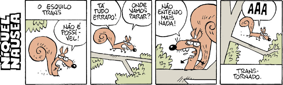A tira tem quatro quadrinhos e mostra um esquilo na floresta. No primeiro a legenda diz: O esquilo trans. E o esquilo diz: Não é possível! No segundo, ele vai andando esbaforido pelo galho dizendo: está tudo errado! Onde vamos parar? No terceiro o esquilo ocupa todo o quadrinho e diz: não entendo mais nada! No quarto quadrinho, ele sai correndo gritando AAAA E a legenda explica: Trans- tornado.