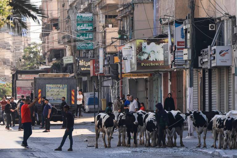 Palestinos tentam achar abrigos na Cidade de Gaza após ataques aéreos israelenses 