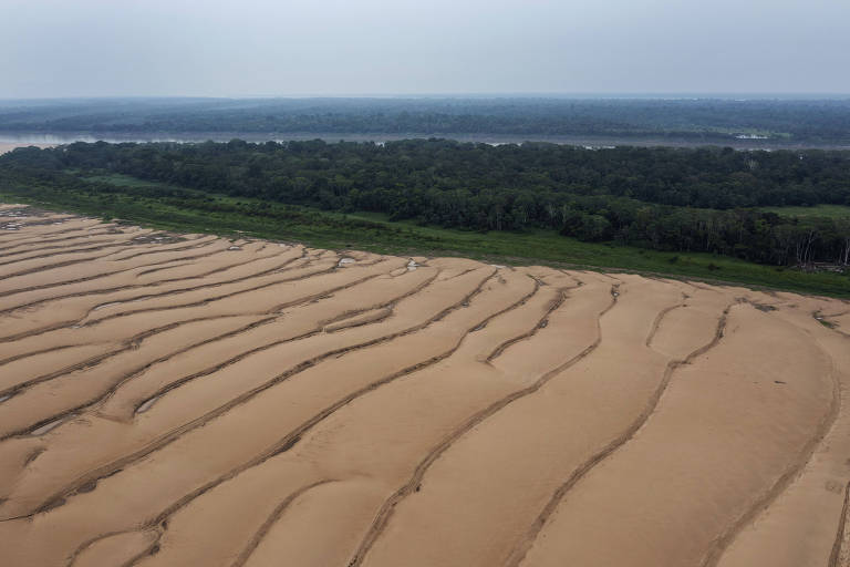 Brasil desvia cargas de grãos para Santos por seca nos rios amazônicos, diz Anec