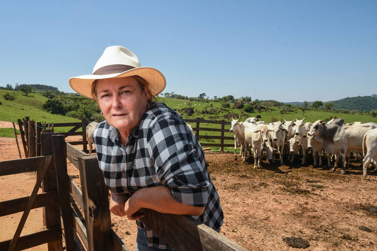 Ana Cristina Pires cria gado da raça nelore e vende bezerros