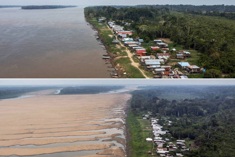 Não seremos os únicos afetados se a Amazônia desaparecer