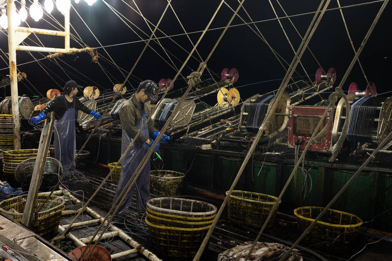 Prevalência de trabalho forçado mancha o fornecimento mundial de produtos marinhos