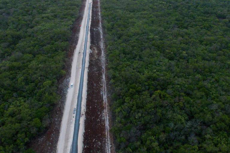 Construção da ferrovia do Trem Maia em meio a uma floresta na cidade de Uman, no México